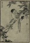 28_birds.jpg